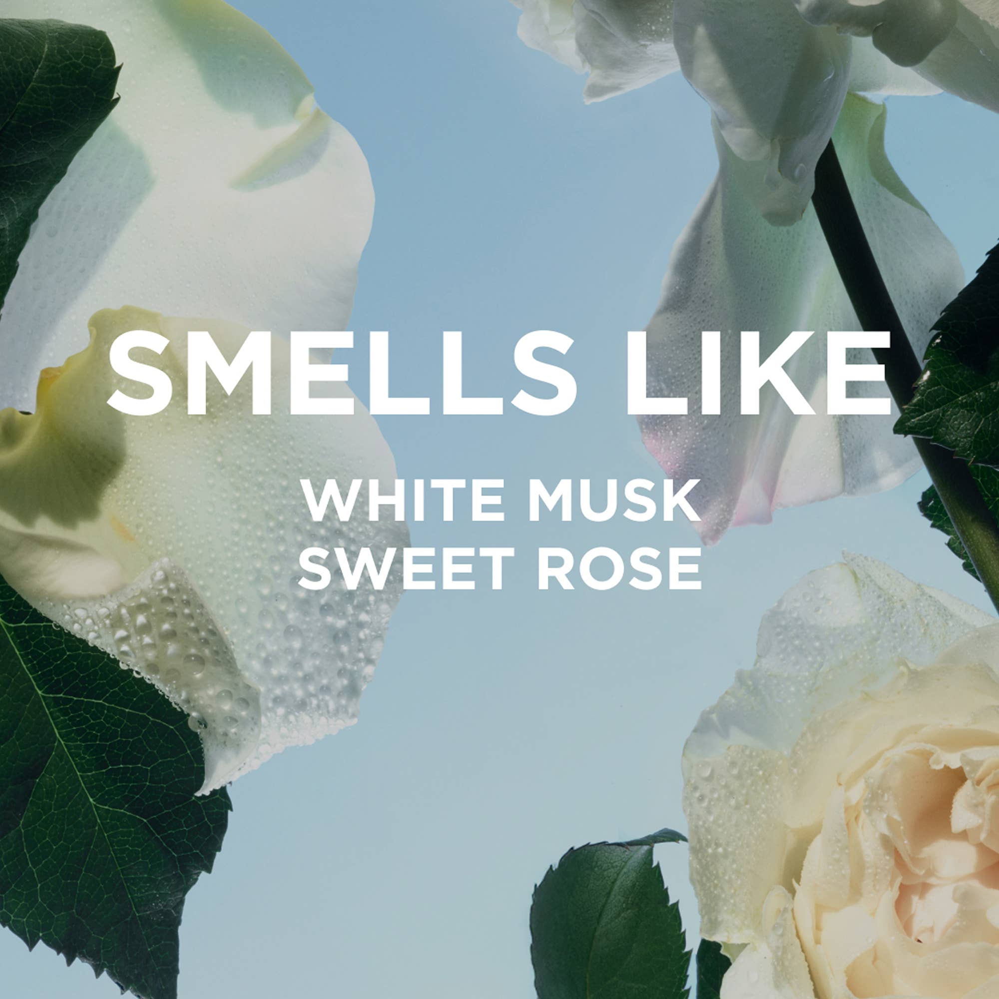 ROSIE Perfume Oil with white musk