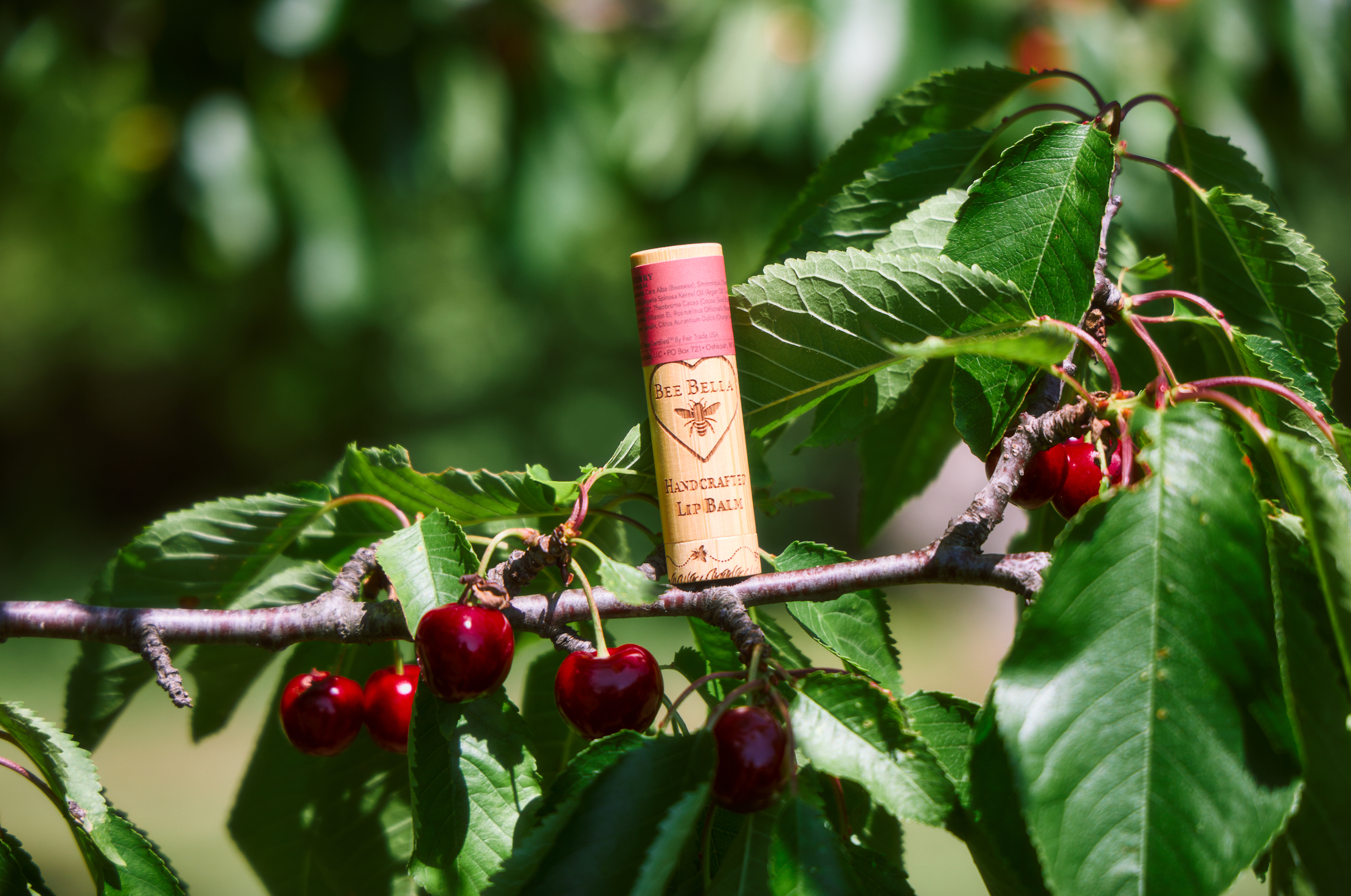 Cherry Lip Balm