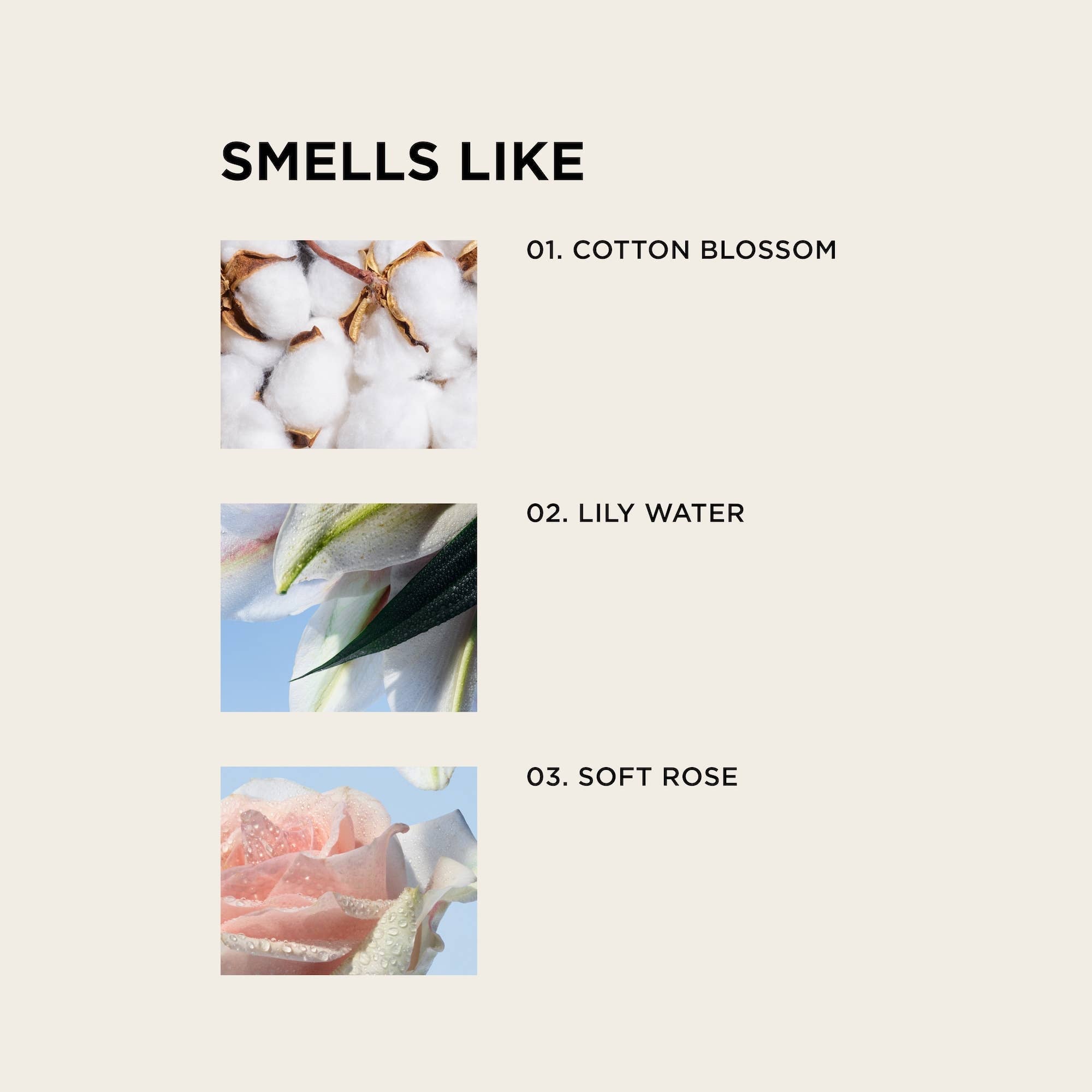 WHITE TEE body + hair perfume mist