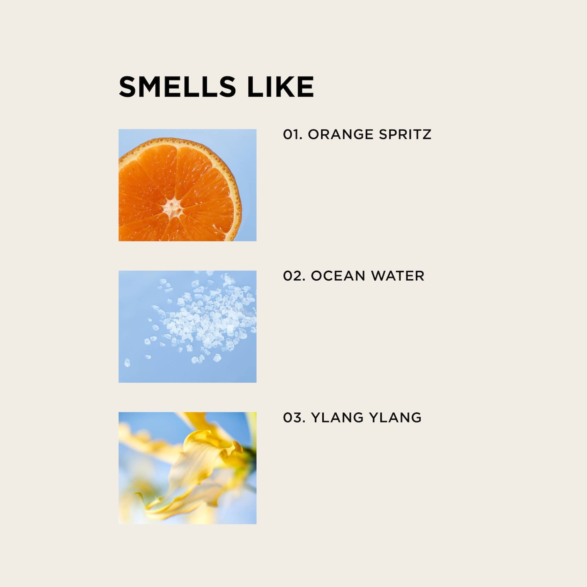 BEACH BABY body + hair perfume mist