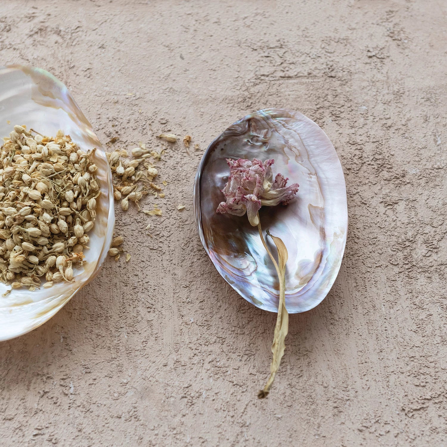 7"L x 4-1/4"W Decorative Natural Shell Footed Dish