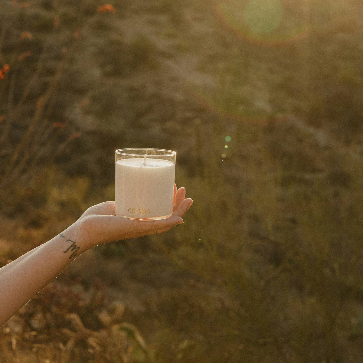 DESERT SUNSHINE
