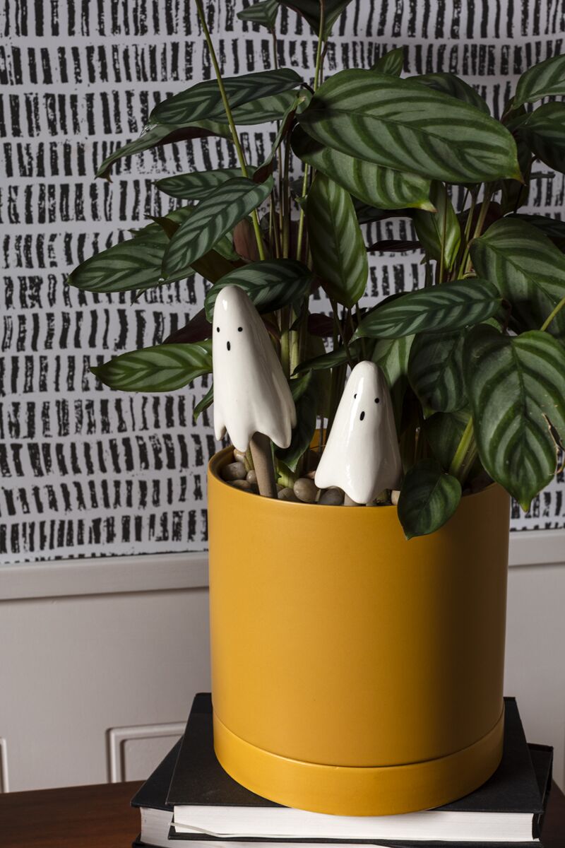 Casper Plant Sticks - Set of 2