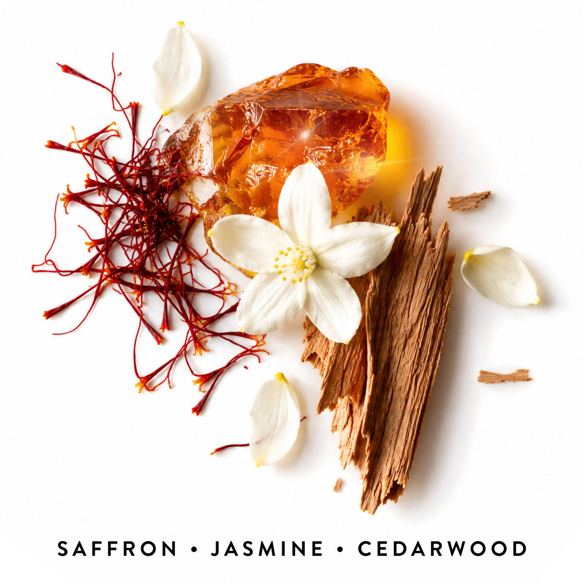 CONCRETE COWGIRL | Amber, Cedarwood and Saffron Perfume