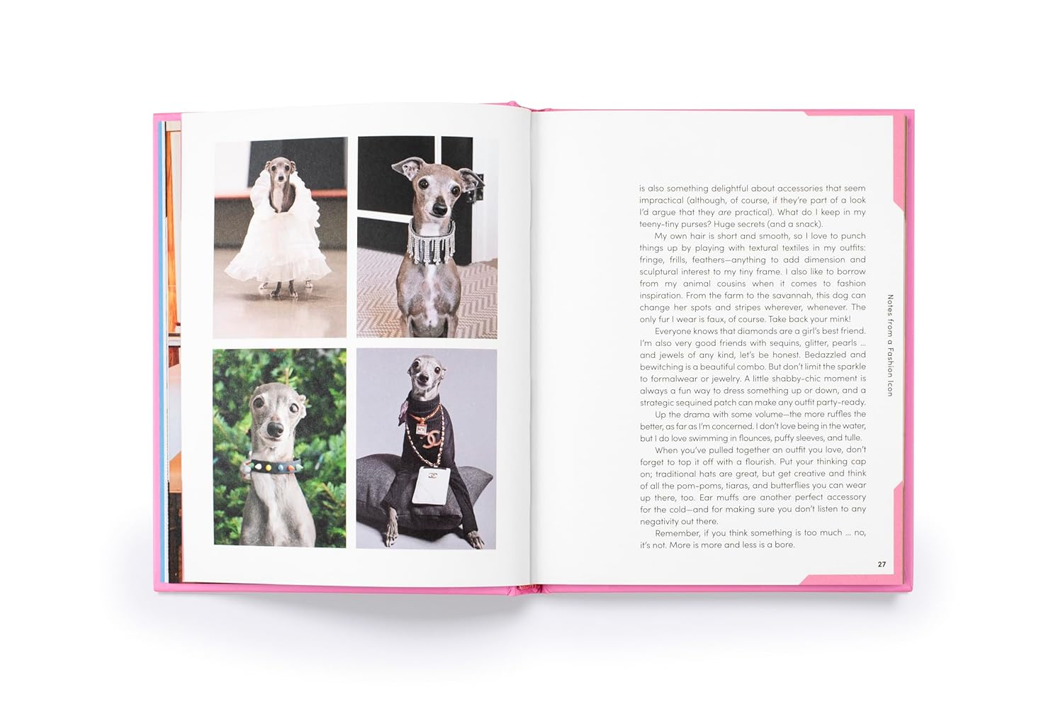 Tika the Iggy: Lessons in Life, Love and, Fashion