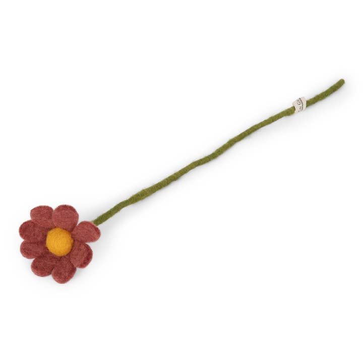 Anemone Flower