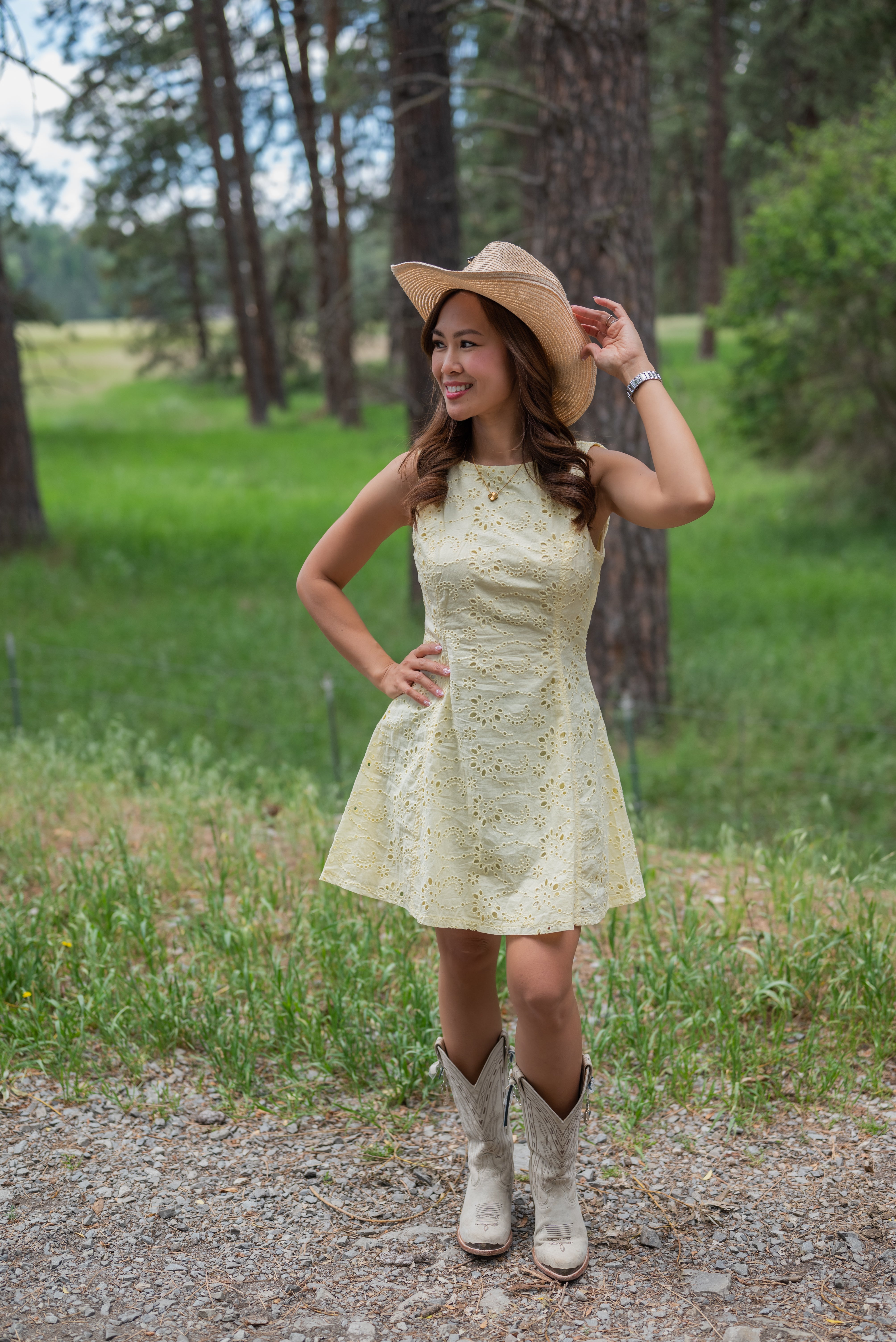 JANE EYELET MINI DRESS