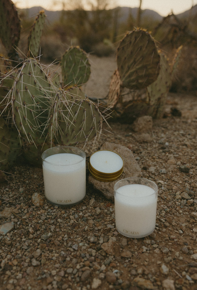 No. 05 Candle the scent of desert blossoms