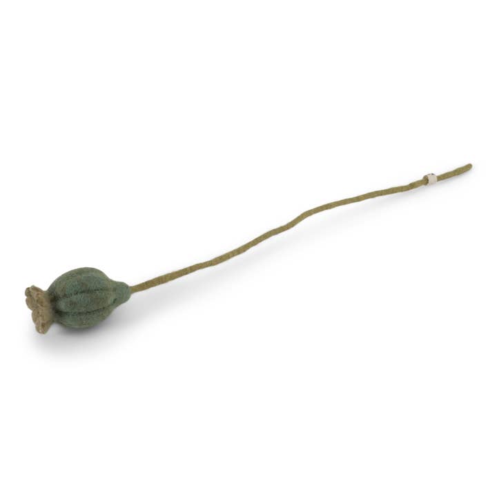 Poppy Seed Head