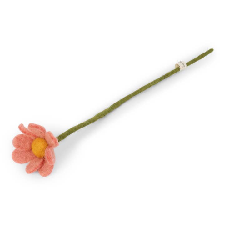 Anemone Flower