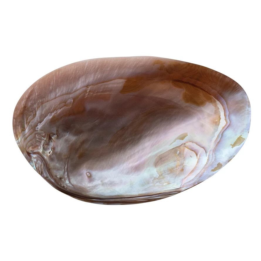 7"L x 4-1/4"W Decorative Natural Shell Footed Dish
